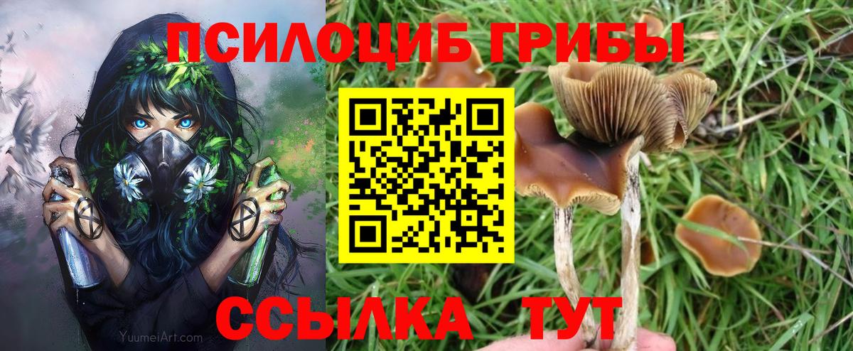 Псилоцибиновые грибы MAGIC MUSHROOMS  Псилоцибиновые грибы Cubensis  Вход с VPN  Тольятти 