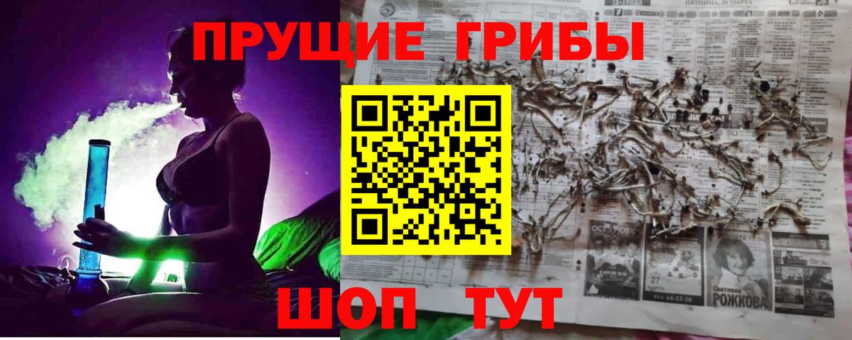 Псилоцибиновые грибы прущие грибы Тольятти